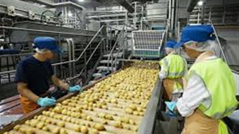 161 ألف شهادة تصدير