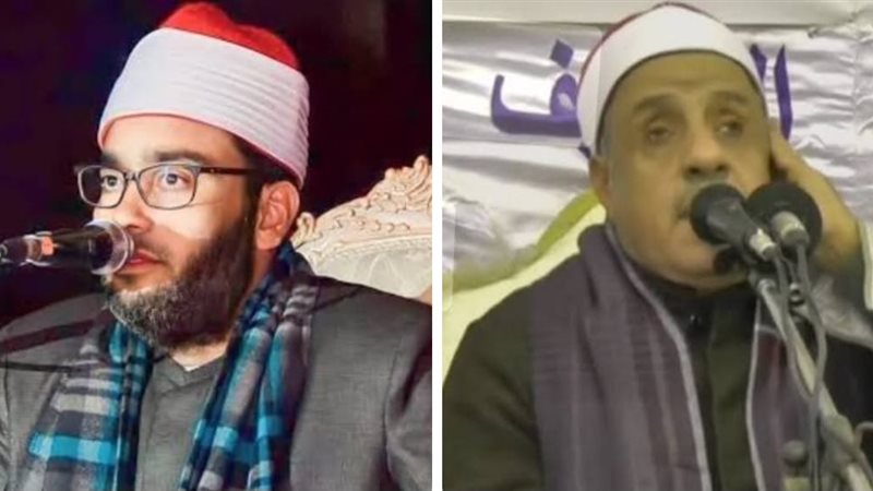 محمد السعدني وإبراهيم