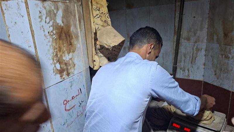 الحملة التموينية