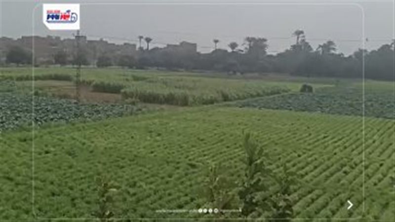 حركة الرياح