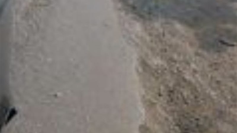 طريق ميت حبيش البحرية