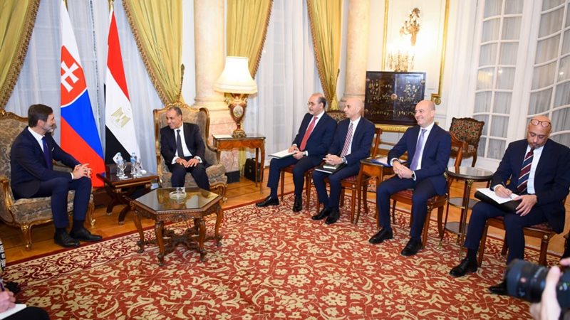 وزير الخارجية ونظيره