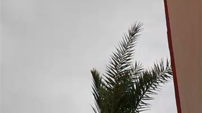 اضطرابات جوية وأمطار متفرقة ومتفاوتة الشدة  تضرب  السويس والعين السخنة 