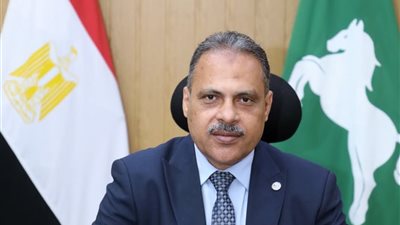 مبادرة «مشروعك» بالشرقية وفرت أكثر من 58 ألف فرصة عمل