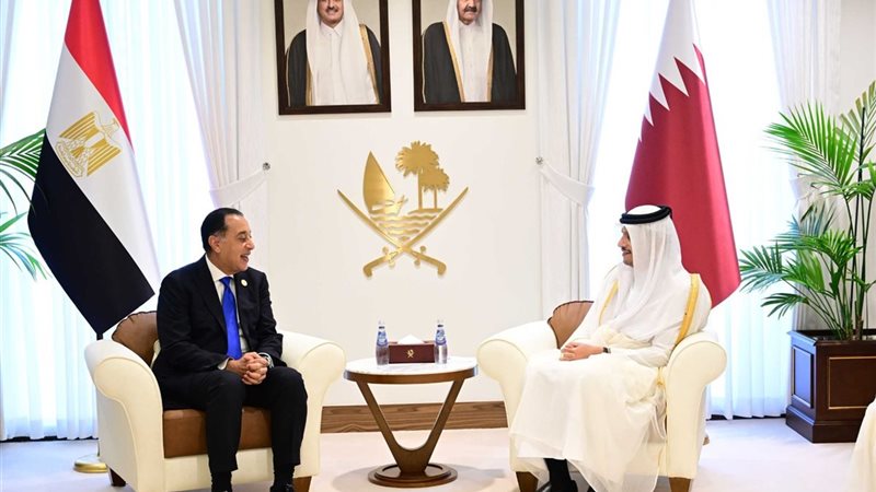 رئيس وزراء قطر ونظيره