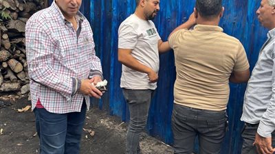 حملات ميدانية مكبرة لمتابعة التزام مكامير الفحم بالشروط البيئية بدمياط