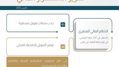 استمرار النظام المالي المصري في أداء دوره الرئيسي في الوساطة المالية