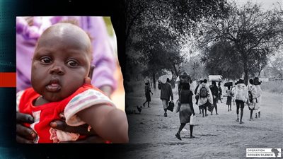 الأمم المتحدة تؤكد وجود مجاعة في مدينتي الفاشر وكادوقلي بالسودان 