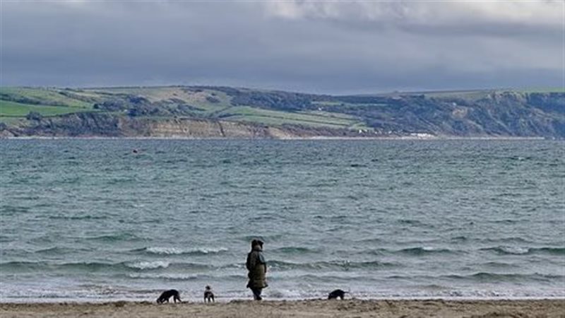 صورة موضوعية