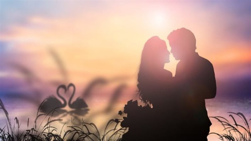 فنان وفنانة في قصة