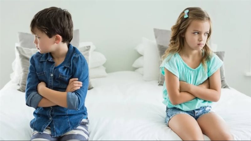 المشاحنات بين أطفالك