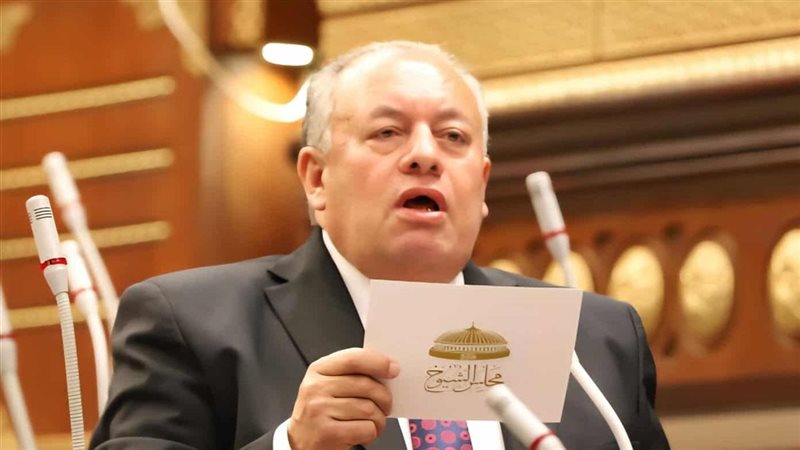 النائب المستشار محمد