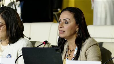 مايا مرسي تشارك في المائدة المستديرة لتعزيز الركائز الثلاثة للتنمية الاجتماعية