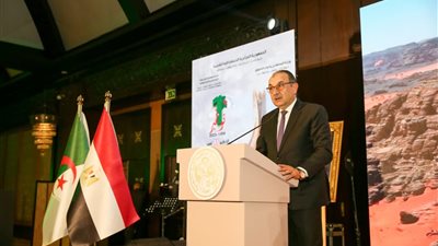 وزير قطاع الأعمال العام يشارك في احتفالية سفارة الجزائر بالذكرى الـ71 للثورة 