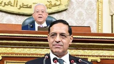 سؤال فى النواب لوقف نزيف المياه في زراعات القصب والموز والأرز  