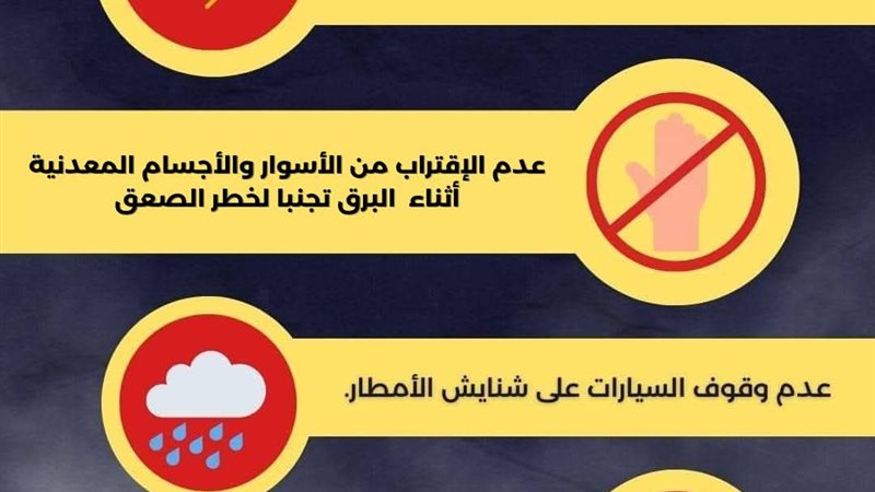 توصيات محافظة الإسكندرية