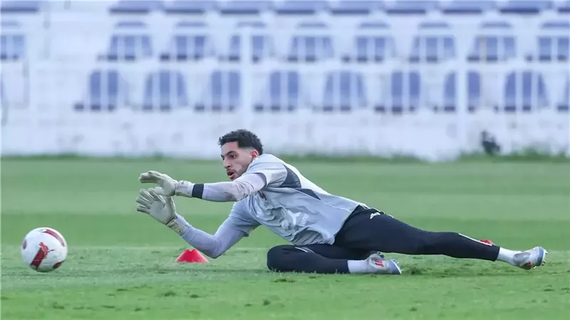 مصطفى شوبير