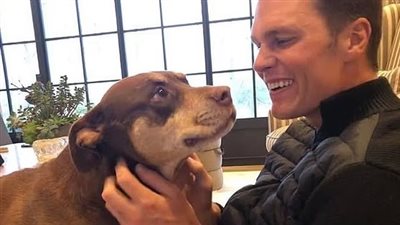 50 ألف دولار لنسخة من كلبك المفضل؟ تجربة توم برادي تثير الجدل