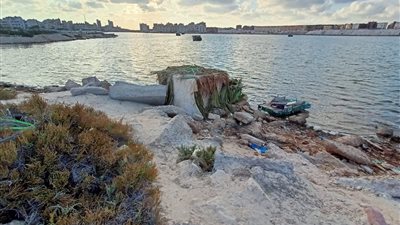 صفقة الـ 30 مليار دولار.. أبرز معلومات عن علم الروم جوهرة الساحل الشمالي