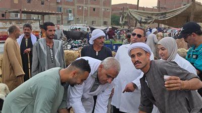 محافظ الجيزة: تحصين 83 ألفًا و700 رأس ماشية للحفاظ على الثروة الحيوانية
