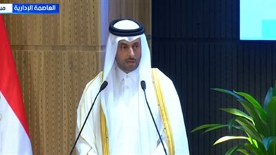 رئيس شركة الديار القطرية: تطوير علم الروم يعكس عمق العلاقات الأخوية مع مصر