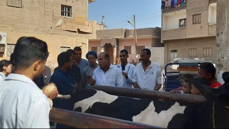 خلال الحملة 