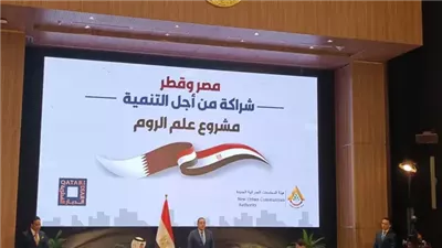 أستاذ اقتصاد: شراكة مصر وقطر تعكس نجاح الدبلوماسية الاقتصادية للرئيس السيسي 