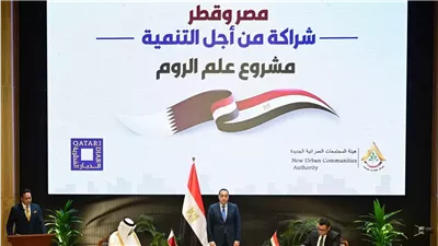 مقرر لجنة الاستثمار: اتفاق مصر- قطر يعكس نجاح توجهات القيادة نحو الاستثمار  