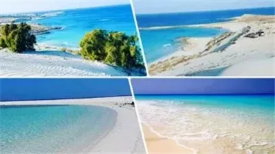 خبير: الصفقة المصرية القطرية دفعة قوية للاحتياطي النقدي وتوفر 250 ألف فرصة عمل