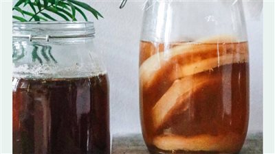 الكفير أم الكومبوتشا؟ اكتشفي أي المشروبين المخمرين الأفضل لصحتك 