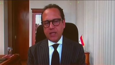 السفير هاني ناجي: تصويت المصريين في أستراليا يسير بسلاسة