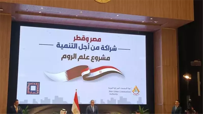 شراكة مصر وقطر