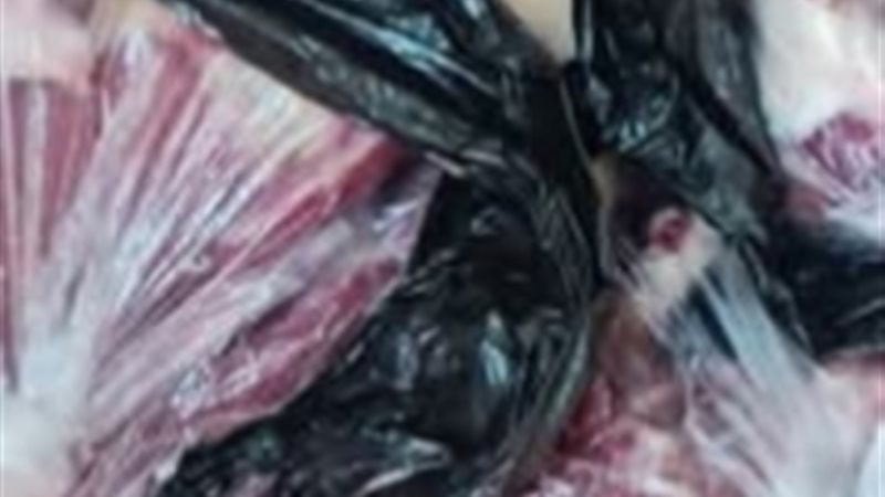 ضبط أكثر من ٣٥ طن