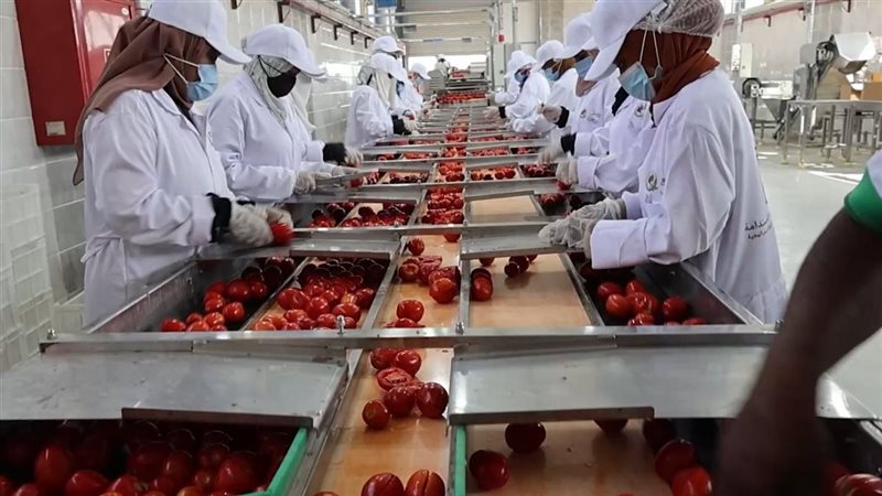 مصنع أفرو لاند 