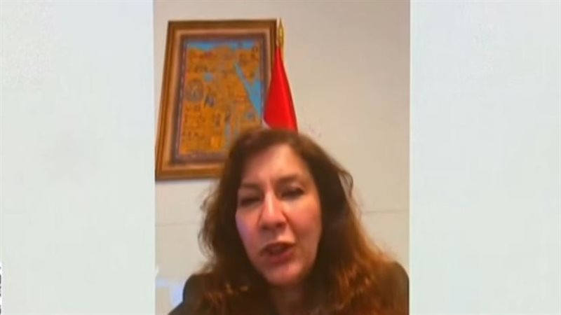 السفيرة ريهام خليل