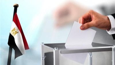 بدء تصويت المصريين بالخارج في الأرجنتين وباراجوي لانتخابات مجلس النواب 2025