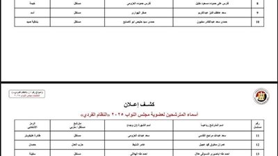 تحالفات قبلية ومعركة شرسة.. الدائرة الخامسة بالإسكندرية تشتعل قبل التصويت