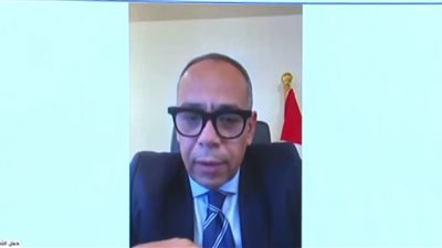 سفير مصر في قبرص: الاقتراع يسير بسهولة ويسر.. وكل الجوانب الفنية مستوفاة