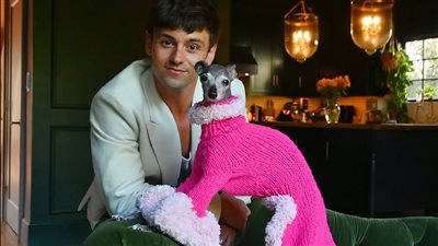 وفاة الكلبة 