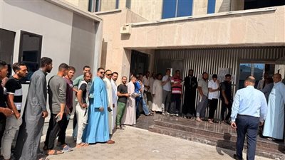 انتخابات مجلس النواب 2025.. إشادة بالإقبال الكبير للمصريين في الخارج