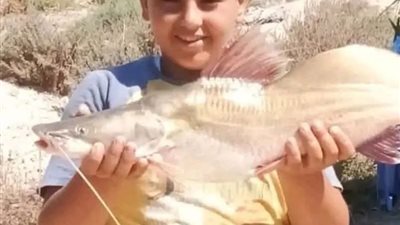 واقعة مأساوية.. محاولة سرقة تنتهي بجريمة بشعة بكفر الدوار