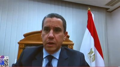 سفير مصر باليابان: الجالية المصرية حريصة على ممارسة كل حقوقها الدستورية 