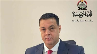 عمرو رضوان: المشاركة حق دستوري واصطفاف المصريين أمام الصناديق رسالة للعالم