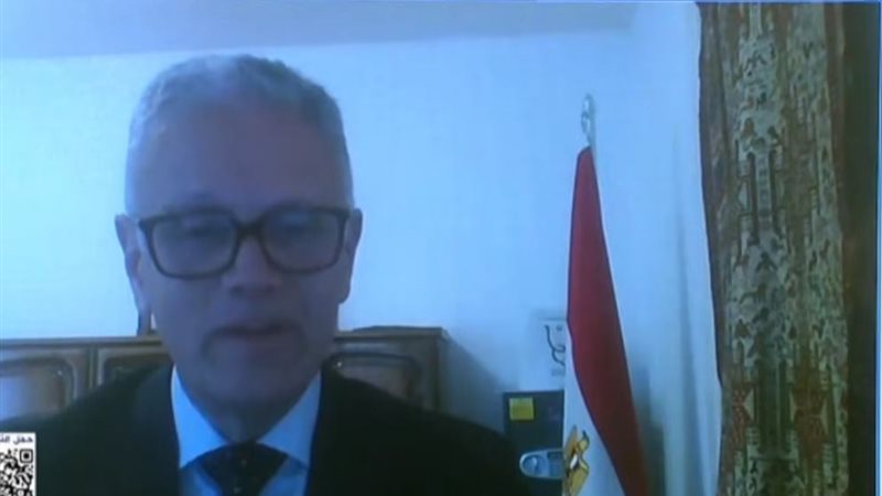 السفير محمد نجم