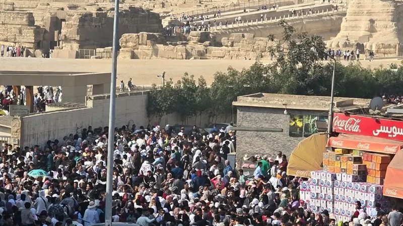 زوار المتحف المصري