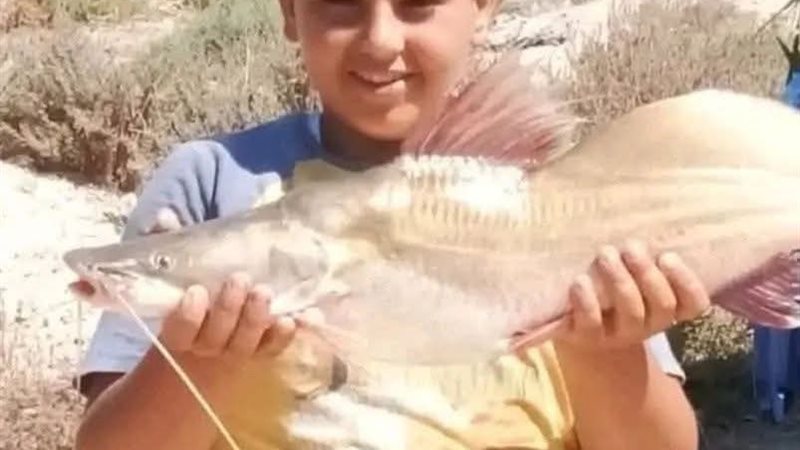 محاولة سرقة تنتهي