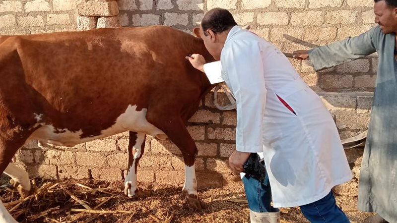 خلال التحصين