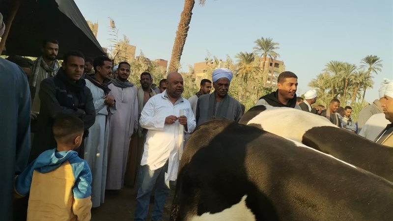 جانب من الحملة