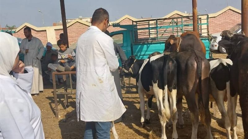 جانب من الحملة