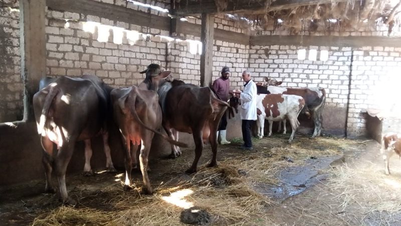 جانب من اعمال التطعيم